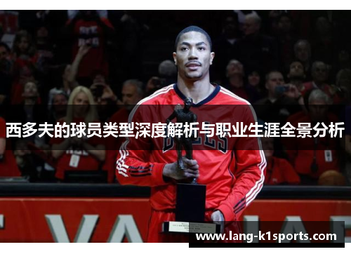 西多夫的球员类型深度解析与职业生涯全景分析