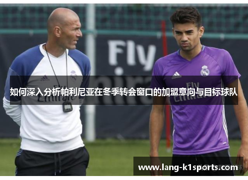 如何深入分析帕利尼亚在冬季转会窗口的加盟意向与目标球队 如何深入分析帕利尼亚在冬季转会窗口的加盟意向与目标球队