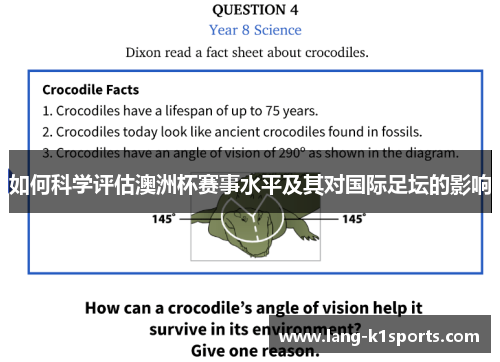 如何科学评估澳洲杯赛事水平及其对国际足坛的影响