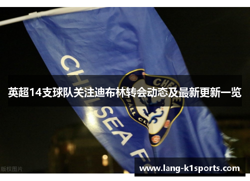 英超14支球队关注迪布林转会动态及最新更新一览