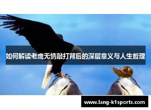 如何解读老鹰无情敲打背后的深层意义与人生哲理