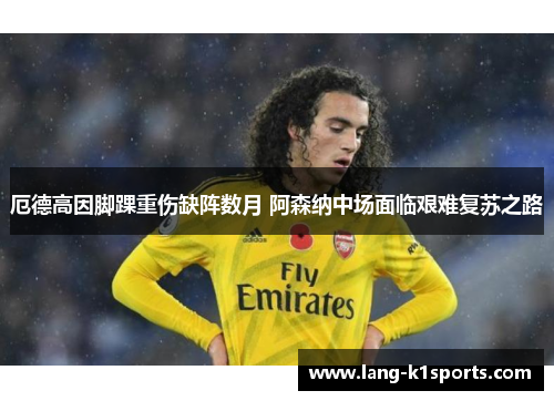 厄德高因脚踝重伤缺阵数月 阿森纳中场面临艰难复苏之路 厄德高因脚踝重伤缺阵数月 阿森纳中场面临艰难复苏之路