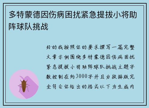 多特蒙德因伤病困扰紧急提拔小将助阵球队挑战